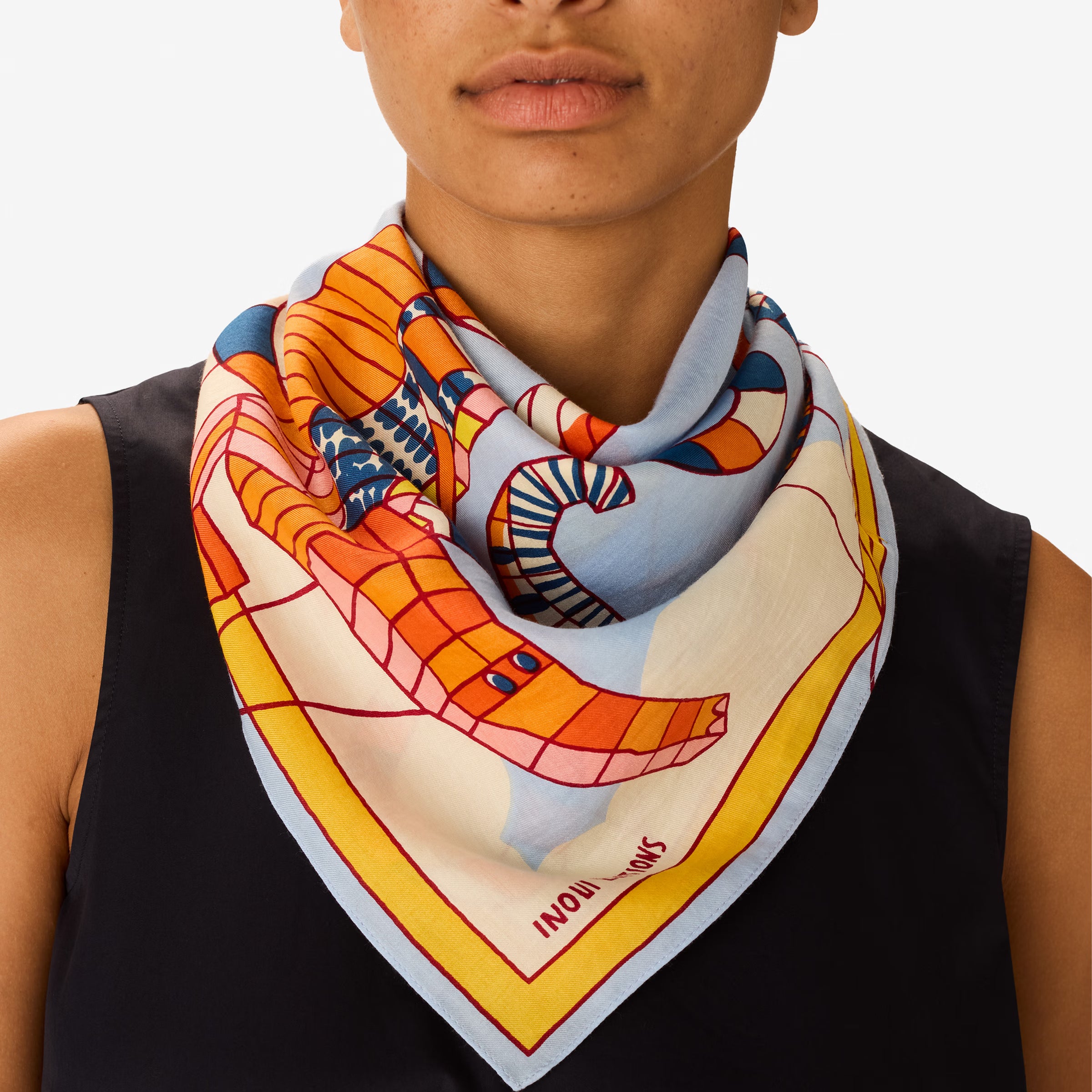 SQUARE 65 CERFS VOLANTS