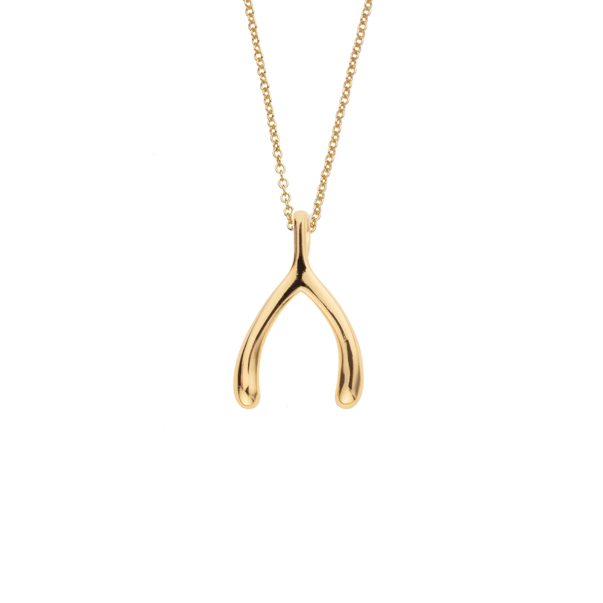 LUCKY WISHBONE 10K CHAIN